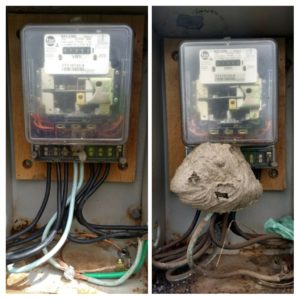 Limpeza de Padrão de Energia